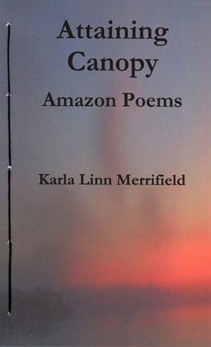 book cover for Attaining Canopy