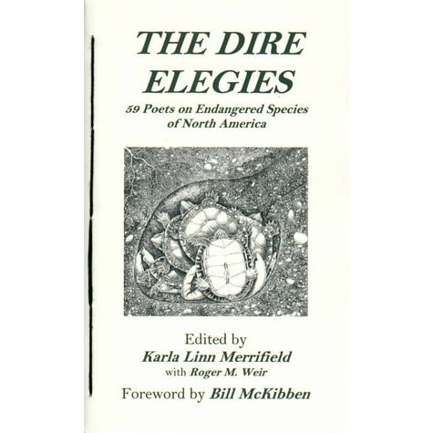 book cover for The Dire Elegies